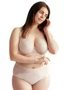 132 Труси-сліп великого розміру середньої посадки Lupoline Півонія