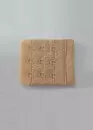 SH-003 Удлинитель для бюстгальтера на три крючка Shato Бежевый